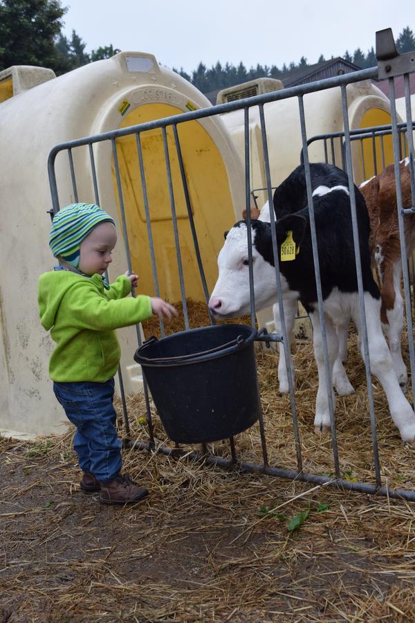 Ferienhof Schricker Marktleuthen Luaran gambar